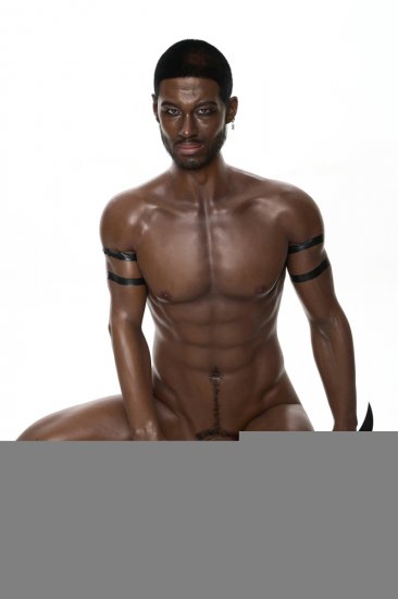 Irontech 176cm Silicone Male sex doll Howard