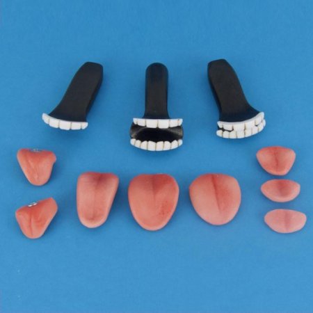 Normal type teeth & tongue set